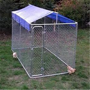 Large Walk in Chicken Dog <strong>Run</strong> / Coop Poultry <strong>Pet</strong> Cage - Product Image 1