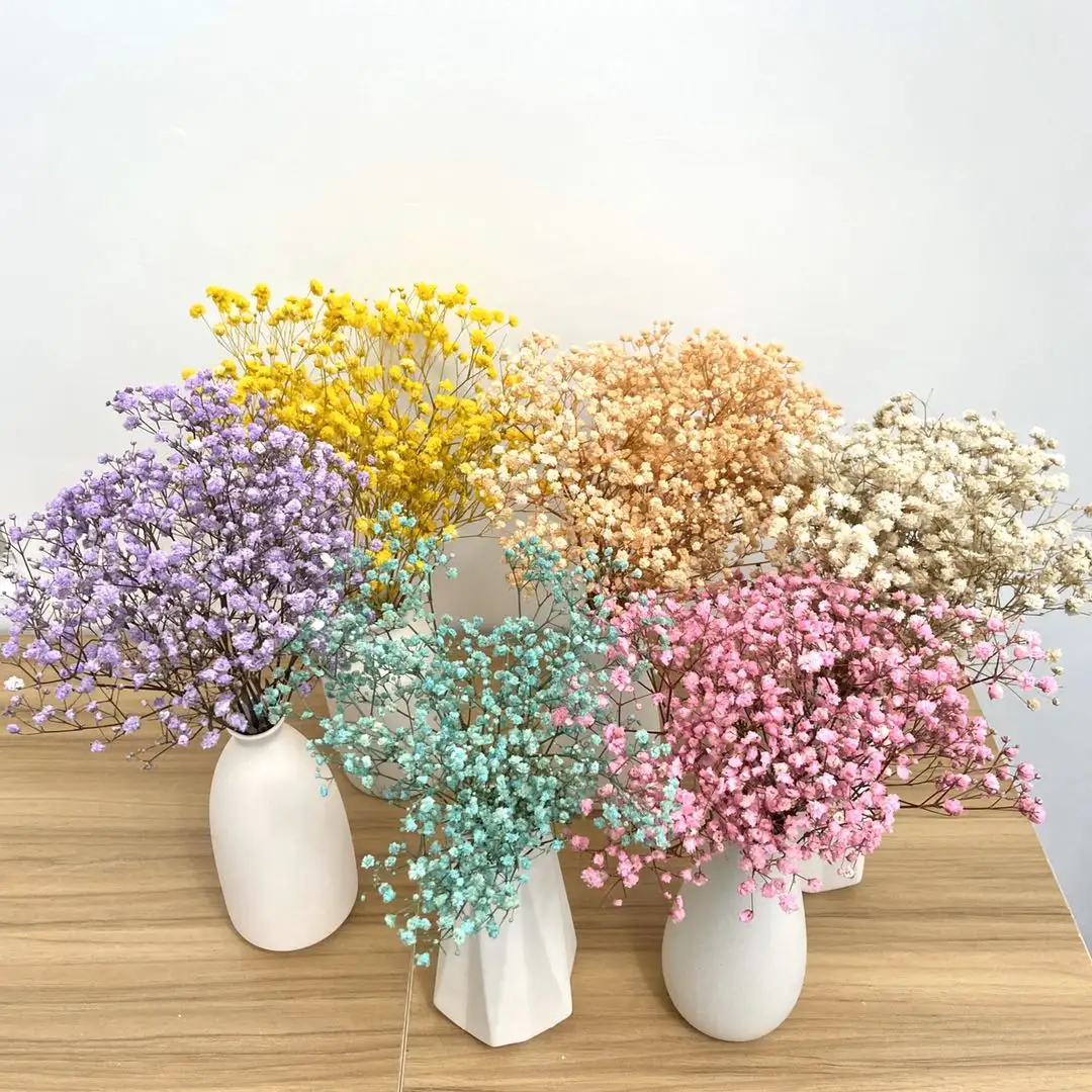 Gypsophila Bouquet Konservierte Babys Atem blumen weiße Farbe getrocknete Blumen Babys atmen für Hochzeit oder Haus dekoration