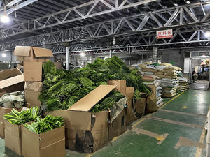 Y-0010 <span class=keywords><strong>Piante</strong></span> Artificiali Ecologiche all'<span class=keywords><strong>Ingrosso</strong></span>, Rampicanti in Finto Erba Persiana, Felce di Boston Artificiale <span class=keywords><strong>da</strong></span> Appendere per Decorazione Casa e Giardino - Product Image 6