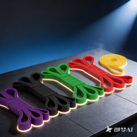 Bandes de Résistance pour Tractions à Barre, Bandes de Traction pour Exercices à Domicile, Bandes de Résistance pour Barres de Traction OEM
