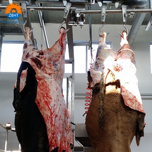 Komplette Rinder- und Kuh-Schlachthofausrüstung für Schlachthöfe mit Langlebigkeit und Hoher Qualität - Product Image 6