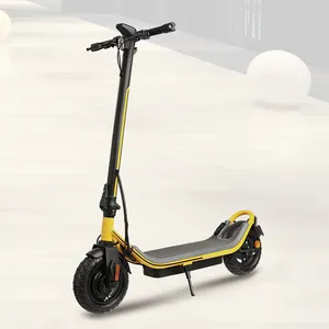 Lage Prijs Elektrische Scooter Band 10 Inch Tubeless Volwassenen 25 Km/h Trommelrem Opvouwbaar 500W E Scooters Met Licht