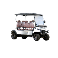 Voiturette de golf électrique 6 places avec pneus tout-terrain, prix abordable, pare-chocs personnalisable pour le camping sauvage, les traversées et les scénarios de travail en dune