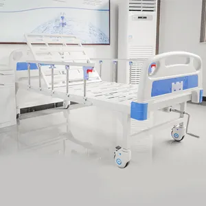 Customized Manual Metal Hospital Bed With 1 Crank One-Function Design For Medical Use