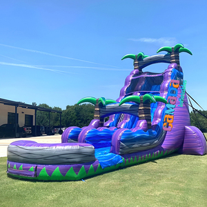 Toboggan aquatique gonflable géant Purple <span class=keywords><strong>Crush</strong></span> Plunge à double piste avec piscine à jets d'eau pour location dans les parcs sportifs - Product Image 3