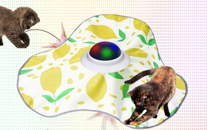 Evcil Hayvan Malzemeleri Fabrikası Örtü Kumaşlı İnteraktif Lüks Plastik Egzersiz Kedisi Oyuncağı Dokunma Aktivasyonlu Otomatik Kızdırıcı Elektrikli - Product Image 5