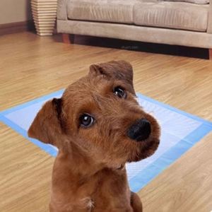 Nouvelles Tapis d'Entraînement pour Chiots en Coton Blanc avec Film PE, Super Absorption, Écologiques et Jetables, Taille 33*45cm, Modèle 2026 - Product Image 6