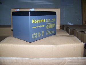 Batería VRLA de Ciclo Profundo AGM <span class=keywords><strong>12V14Ah</strong></span> para Scooter Eléctrico, Bicicleta Eléctrica, Triciclo - Product Image 3