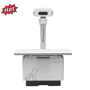 ZY-PA Kleintier-Veterinär überwachung DR X Ray Digital Machine Feste Fluor os kopie für Hunde - Product Image 1
