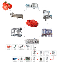 Fournisseur chinois de ligne de production de pâte de tomate semi-automatique à petite échelle, économique et respectueuse de l'environnement