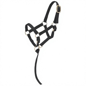 Halter de equitación inglés de alta calidad para polo, equipo de equitación con narquileras acolchadas de tela, para espectáculos y uso multiusos, OEM al por mayor - Product Image 4