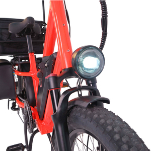 Vélo <span class=keywords><strong>cargo</strong></span> électrique 20 pouces pour adultes, homologué EEC/COC, vente en gros usine pour la livraison - Product Image 1