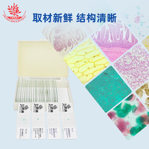 Biological slides containing 30 kinds of freshly collected specimens of plants, animals, and insects, suitable for <b>microscope</b> - Product Image 3