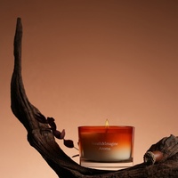 Diffuseur de parfum d'intérieur de luxe fait main, style moderne, bougie en cire de soja, aromathérapie écologique, Noël