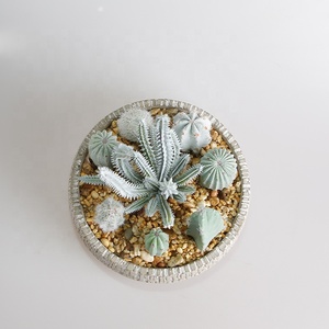 Cao Cấp Trang Trí Nội Thất, Nhân Tạo Cây Xương Rồng, Mọng Nước Bonsai - Product Image 1