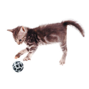 Jouets balle ronde chat design léopard vente en gros du fabricant - Product Image 5