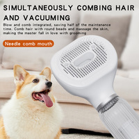 Sèche-cheveux sans fil pour animaux de compagnie, brosse de toilettage extensible, aspirateur électrique, outil de toilettage pour chat et chien, pas de bain nécessaire