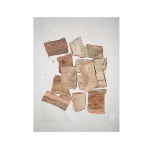 Terminalia Arjuna Bark Arjuna Chhal Arjun Chaal, hierba cruda seca, extracto de plantas al por mayor, producto a base de hierbas de fábrica India - Product Image 3