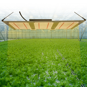 HONDO-Barra de luz LED con atenuación para cultivo de plantas, sistema de luces para granja, 300W - Product Image 5