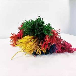 PPL13 <span class=keywords><strong>Club</strong></span> Mousse Décoration Fleur Paysage Matériel Pin Herbe Séchée Diaphasiastrum Veitchii Feuilles Séchées <span class=keywords><strong>Club</strong></span> Mousse - Product Image 2