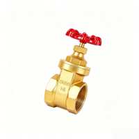 Vanne à opercule manuelle en laiton, pour l'alimentation en eau et le drainage, PN16, OEM et OBM disponibles