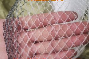 Fabrika kaynağı elmas beyaz dolu netleştirme 4*100m kuş netleştirme dolu hasar gelen meyve ve bitkiler korumak - Product Image 4
