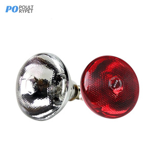 Лампа Тепловая Poultrypet, <span class=keywords><strong>125</strong></span> Ватт, тяжелая утолщенная стеклянная лампа, красная инфракрасная нагревательная лампа - Product Image 4