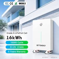 Baterai Power Wall LiFePO4 51.2V 314Ah Grosir 16kWh BMS IP65 Output 10-20Kw untuk Sistem Penyimpanan Energi Rumah dengan Inverter