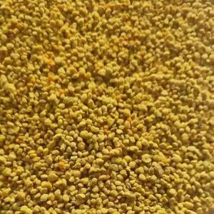 Le <span class=keywords><strong>pollen</strong></span> <span class=keywords><strong>d</strong></span>'<span class=keywords><strong>abeille</strong></span> en poudre en vrac modèle emballé dans un sac - Product Image 3