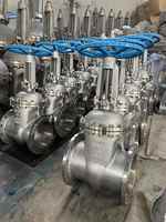 Vanne à opercule manuelle Z41W en acier inoxydable DN150 6 pouces à bride, tige montante, CF8M PN16