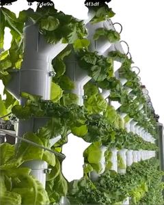 REN-<span class=keywords><strong>línea</strong></span> transportadora aérea para plantación de verduras - Product Image 2