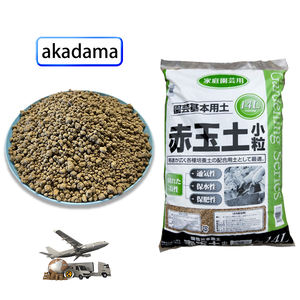 Vente en gros d'<span class=keywords><strong>Akadama</strong></span> japonais pour bonsaïs utilisation jardin moderne crevettes d'aquarium et horticulture - Product Image 3