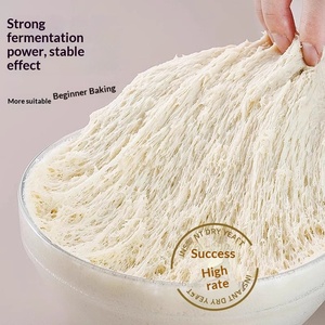 ยีสต์แห้งชนิดก่อฟองสูงสำหรับทำซาลาเปา 5 กรัม ฮาลาล บรรจุถุง เก็บในอุณหภูมิห้อง OEM - Product Image 3