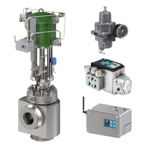 IMI STI SHP SH00ASSAU+2M Smart High Performance Digital High Flow - Product Image 3
