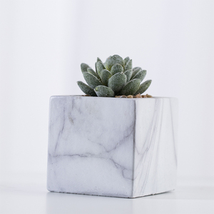Mini Casa de plástico decoración suculentas Bonsai Artificial planta <span class=keywords><strong>en</strong></span> mármol de cemento Pot - Product Image 2