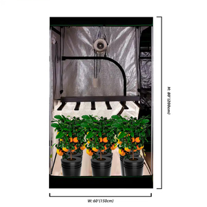 Nhà máy cung cấp trực tiếp nhà 150x150x200cm kế hoạch Lều phát triển Kit + bạch tuộc dẫn phát triển đèn 281b 640W Duct Fan carbon lọc - Product Image 2