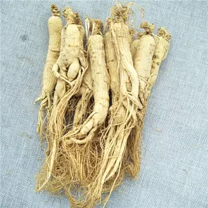 Ren Shen Top Grade Changbai Mountain White Panax Dried Ginseng Root Whole/slice Tea