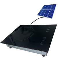 2024 nouvelle cuisinière à onduleur solaire 1200W DC cuisinière à induction à commande tactile avec batterie solaire