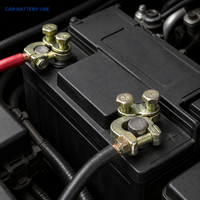 HJYAJZT A001 2 pièces Connecteurs de borne négative et positive robustes en cuivre/alliage Mg-Al avec finition vernie pour batterie de voiture 12V