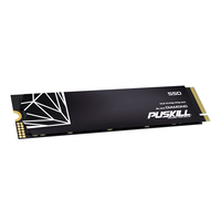 PUSKILL M.2 2280 PCIe Gen3 NVMe SSD 256GB-2TB Disque SSD interne pour PS5, ordinateur portable et ordinateur de bureau