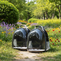 Sac à dos de transport pour chats, capsule spatiale panoramique transparente, respirant, couleur unie, tendance, polyvalent, portable pour l'extérieur