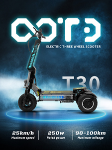 สกู๊ตเตอร์ไฟฟ้าพับได้สามล้อ EU Warehouse OOTD T30 สำหรับผู้ใหญ่ T30 Monopattino Elettrico T30 - Product Image 4