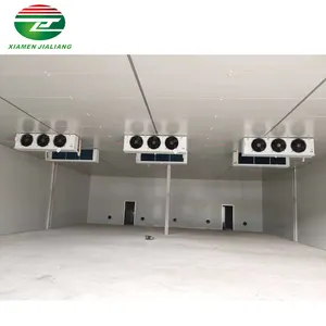 Cool Room 60 tons Large Capacity cold room for ice storage for cold storage cold room cooling system