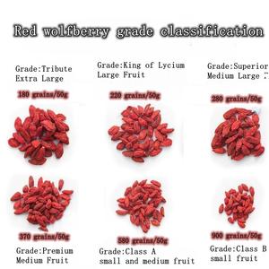 Baies de <span class=keywords><strong>Goji</strong></span> Biologiques de Haute Qualité Séchées Sans OGM Collation Goût Doux Conservation par l'Eau Entières ou en Poudre Disponibles en Vrac - Product Image 2
