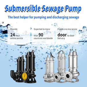 DEHUIKE Pompe à eaux usées submersible en acier inoxydable en fonte électrique avec pompe Motir pour eaux usées - Product Image 6