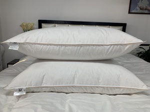 2023 khỏe mạnh tốt ngủ ngỗng xuống lông đệm bên trong vịt lông đệm chèn Gối trang trí nhà dệt - Product Image 3