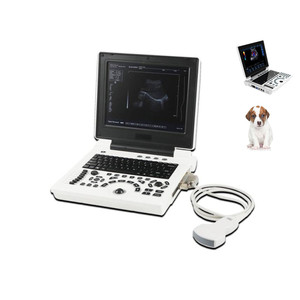 China Ecografo Tragbarer Großtier-Tierarzt-Ultraschalls canner - Product Image 1