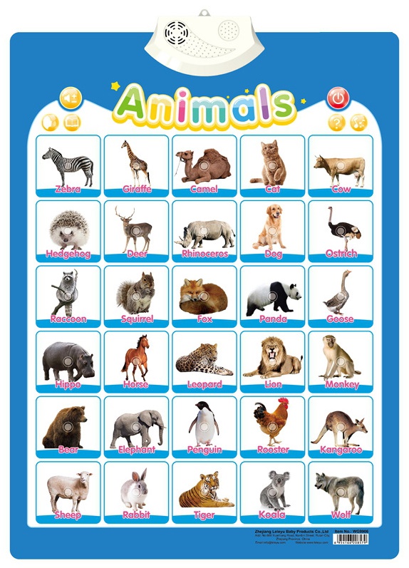 Animal