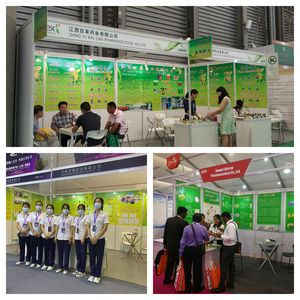 FruitercoエッセンシャルオイルSchizandrin <span class=keywords><strong>Schisandra</strong></span>ベリーエキス粉末<span class=keywords><strong>Schisandra</strong></span> Chinensis植物エキス - Product Image 5