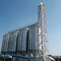 Silo Silo per mangimi per pollame,